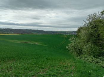 Trail Walking Floreffe - soye - Photo