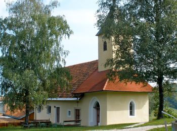 Tocht Te voet Ehrenhausen an der Weinstraße - Berghausen 1 - Photo