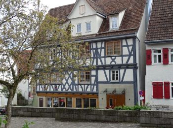 Tocht Te voet Leonberg - Warmbronn - Sindelfingen Martinskirche - Photo