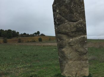 Randonnée Marche Malves-en-Minervois - Malves-en-Minervois - 9 km - Photo