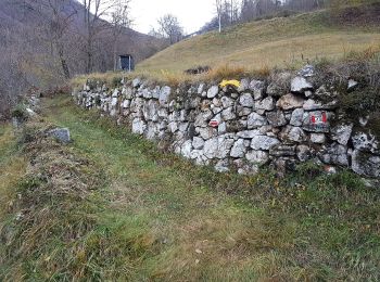 Tocht Te voet Crespadoro - Campodalbero e le sue Contra - Photo