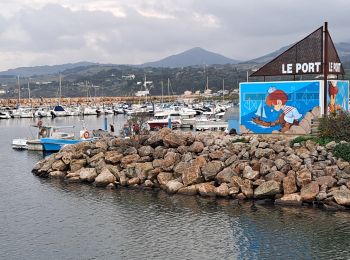 Randonnée Marche Argelès-sur-Mer - Argelès circuit mémoriel - Photo