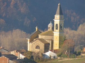 Tour Zu Fuß Alta Val Tidone - IT-221 - Photo