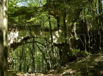 Tocht Te voet Gemeinde Schwarzenbach - Schloßbergrunde (Schwarzenbach) - Photo