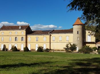 Tocht Stappen La Crau - fenouillet Daniel Louis - Photo