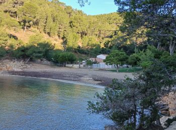 Trail Walking Saint-Cyr-sur-Mer - La Gâche- St Cyr sur Mer- 29-11-2024 - Photo