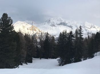 Tocht Ski randonnée La Plagne-Tarentaise - Myrtilles  - Photo