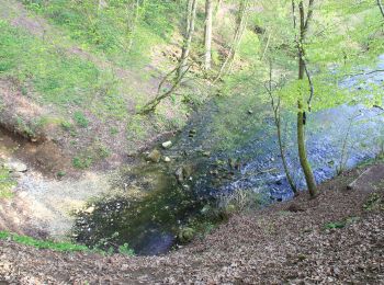 Tocht Te voet Königsbronn - Karstquellenweg Oberkochen - Königsbronn - Photo