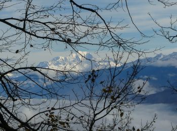 Tour Wandern Barraux - La Cascade du Furet et Bellecombe - Photo