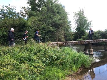 Randonnée Marche Charny Orée de Puisaye - Naudins  - Photo