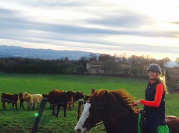 Excursión Paseo ecuestre Albigny-sur-Saône - Petit tour 10 k - Photo