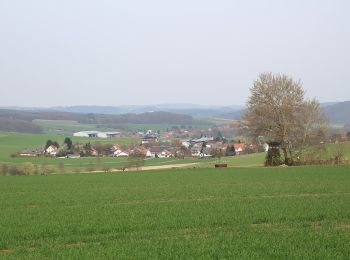 Percorso A piedi Gladenbach - [G11] - Rundweg Gladenbach - Ammenhausen - Friebertshausen - Wolfskapelle - Altes Forsthaus Rüchenbach - Ammenhausen - Gladenbach - Photo