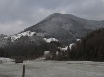 Excursión A pie Gemeinde Kleinzell - Laufend geniessen (Kurhotel Salzerbad) - Photo