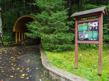 Tour Zu Fuß Böhmischdorf - NS Živé vody - Photo