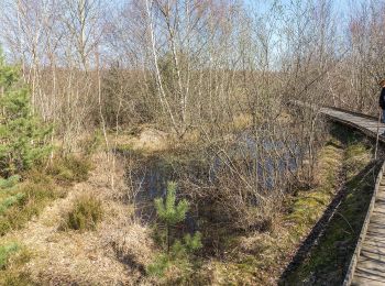 Percorso A piedi Vettweiß - großer Heideweg - Photo