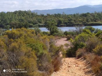 Randonnée Marche Le Cannet-des-Maures - lac des Escarcets - Photo