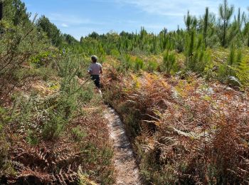 Tocht Stappen Sanguinet - Sanguinet - Photo