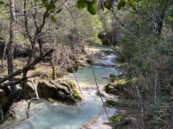 Trail sport Saint-Zacharie - Les sources de l’huveaune - Photo