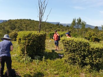 Trail Walking Saint-Zacharie - Saint Zac Yves Isa Valérie  - Photo