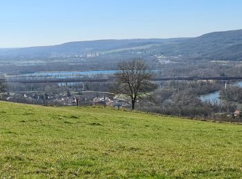 Tocht Stappen Champey-sur-Moselle - Champey La Frontière  - Photo