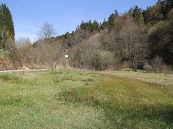 Randonnée A pied Sailaufer Forst - Schwarzer Fuchs, Rundwanderweg Heigenbrücken - Jakobsthal - Photo