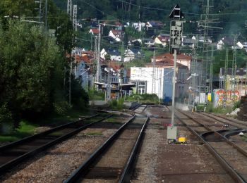 Percorso A piedi Neckargemünd - Rundwanderweg Neckargemünd Friedhof 9 - Waldhilsbach-Weg - Photo