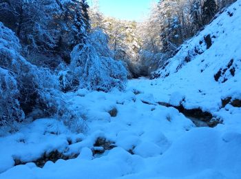 Tocht Sneeuwschoenen Andon - Descente vers le Loup en raquettes - Photo