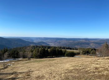 Tocht Stappen Saint-Maurice-sur-Moselle - Les roches de Morteville - Photo