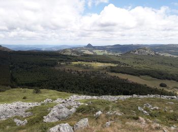 Excursión Senderismo Le Béage - suc des Chartreux partie 1 - Photo