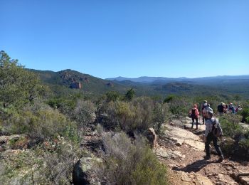 Randonnée Marche Roquebrune-sur-Argens - Grottes de La Bouverie  - Photo