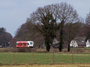 Trail On foot Doetinchem - Dwars door Gelderland (23) - Photo