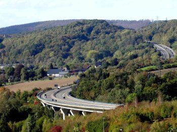 Excursión A pie Arnsberg - Ernst-Sluet-Weg - Photo