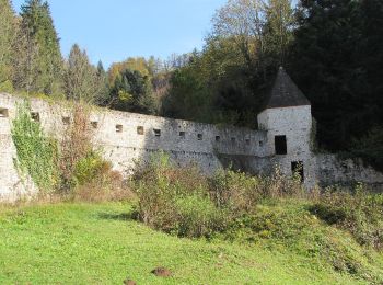 Excursión A pie Slovenske Konjice - Trije križi - Stolpnik - Photo