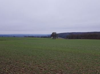 Randonnée Marche Les Authieux-sur-le-Port-Saint-Ouen - 20190105 les Authieux  - Photo