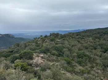 Excursión sport Bagnols-en-Forêt - Gorges de Blavet pays de Fayence - Photo