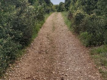 Randonnée Vélo Aspères - grotte du bois de Paris - Photo