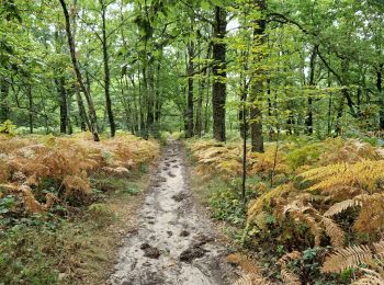 Percorso Marcia Fontenay-lès-Briis - Essonne_Fontenay-Les-Briis=>Roche-Turpin=>Soucy(bis) - Photo