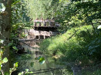 Tocht Stappen Argoules - Valloires  - Photo