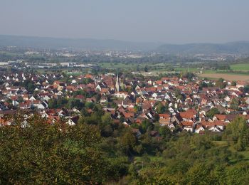 Tocht Te voet Urbach - Urbacher Wanderweg 7 - Photo