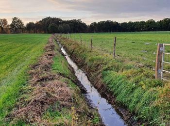 Tocht Te voet Schneverdingen - Rund um Wesseloh Wanderweg - Photo