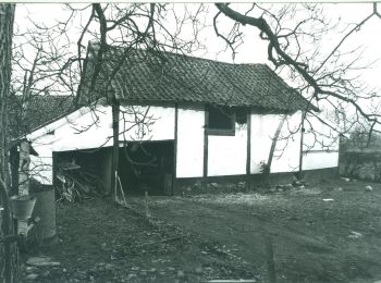 Randonnée A pied Diepenbeek - Nietelbroeken - Photo