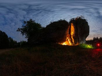 Excursión A pie  - Szlak Żarecki - Photo