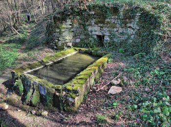 Trail On foot Montfaucon - Boucle de Nacra - Photo