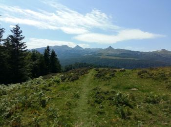 Percorso A piedi Lanne-en-Barétous - ISSARBE les crêtes    2893126 - Photo