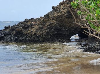 Tocht Stappen Sainte-Marie - Anse Azérot, morne Bataillon et la Pte Martineau. - Photo