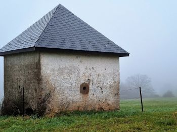 Randonnée A pied Ettelbruck - Auto-Pédestre Ettelbruck 1 - Photo