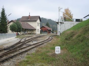 Excursión A pie Gemeinde Groß Gerungs - Sonnhof 2 - Photo