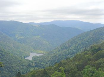 Randonnée Marche Sewen - Circuit lac d'alfeld / ballon d'Alsace  - Photo