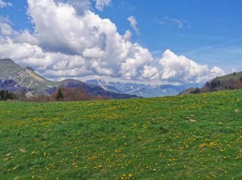 Excursión Senderismo Lalley - Serre Motaire et Lazare - Photo