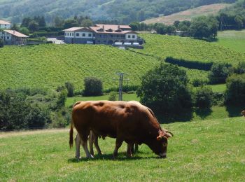 Percorso Marcia Zarautz - zarautz getaria  - Photo